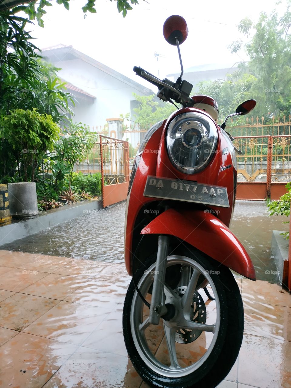 Honda Scoopy Lovely Matic