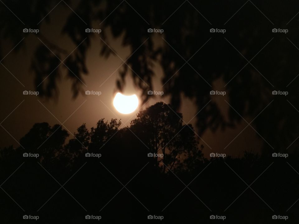 Evening Eclipse 