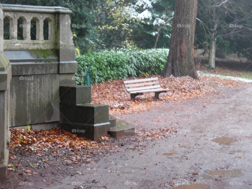 Parc de Mariemont , la Louvière