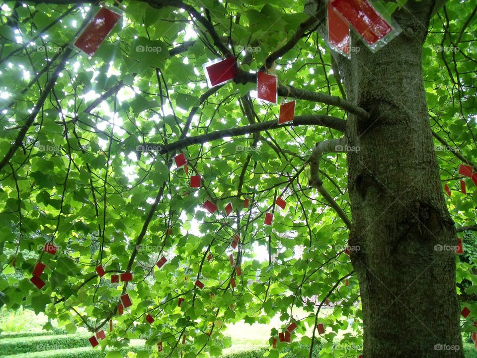 messages in tree