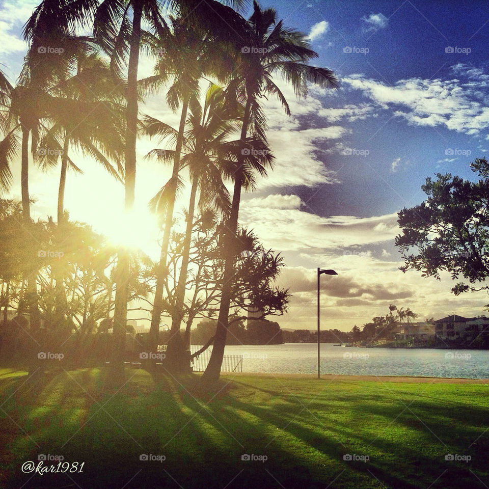 Tropical dreaming. Gold Coast, QLD, Australia