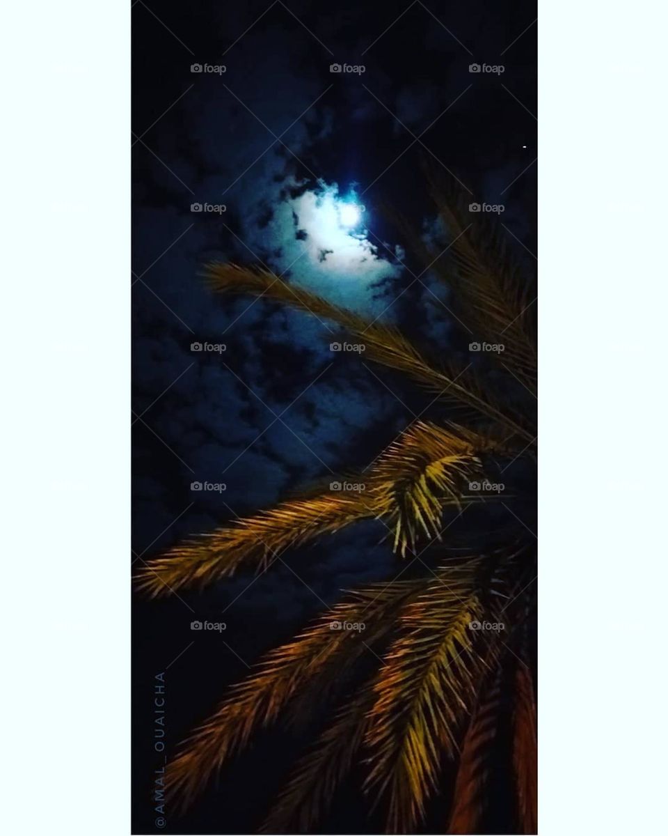 The night sky with the moon
