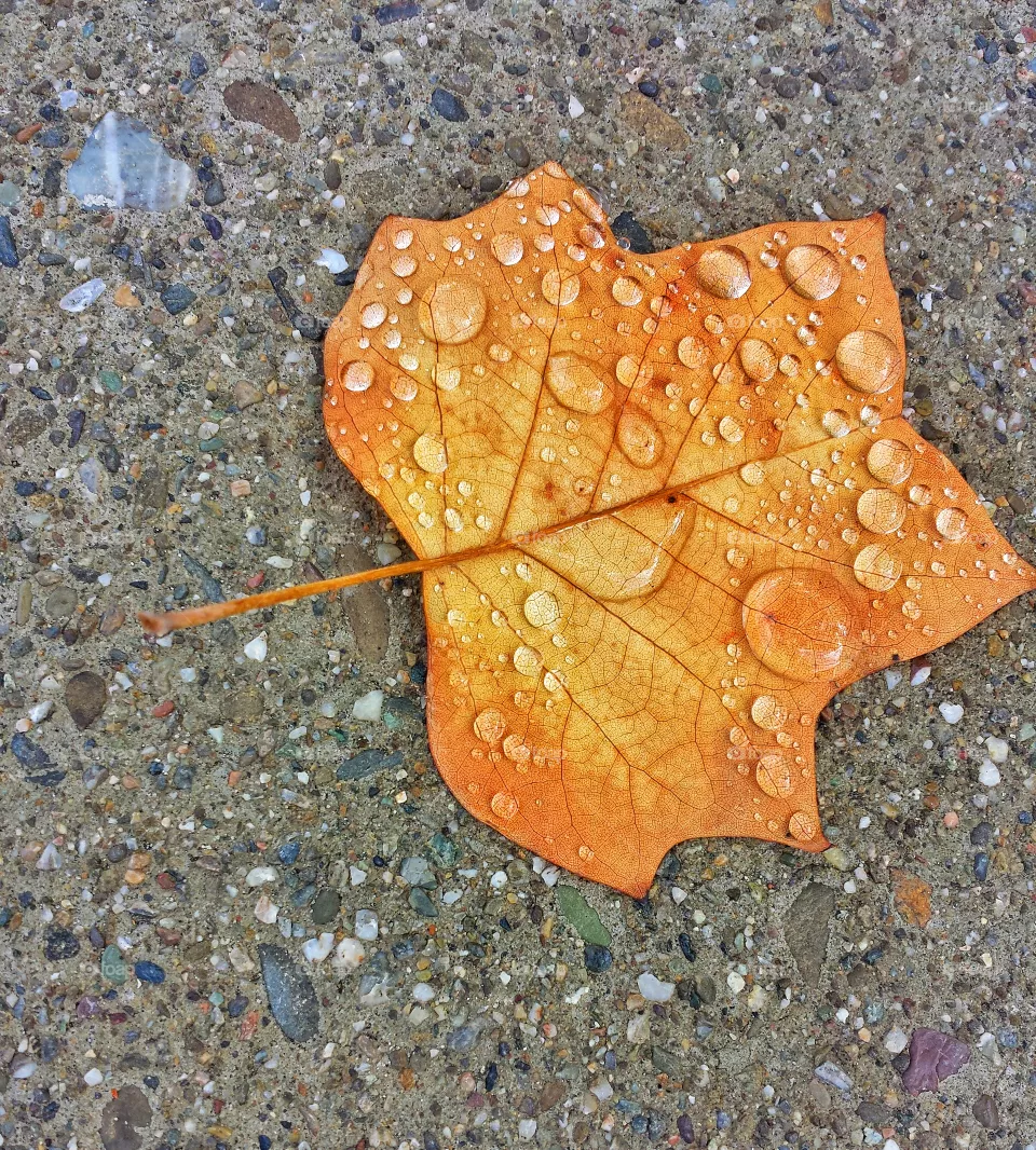 contrast