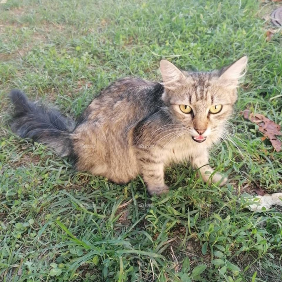 You're Not Yourself When You're Hungry