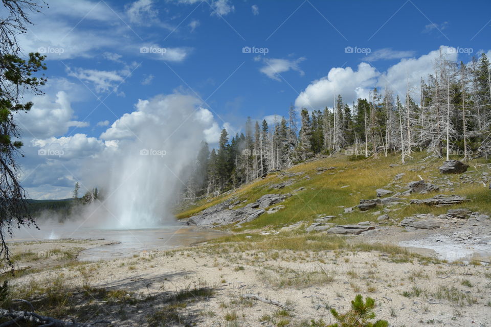 One of geyser in Yellowstone