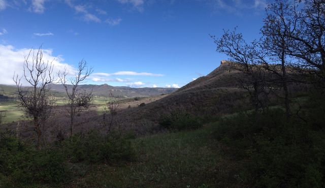 Sunlit Valley