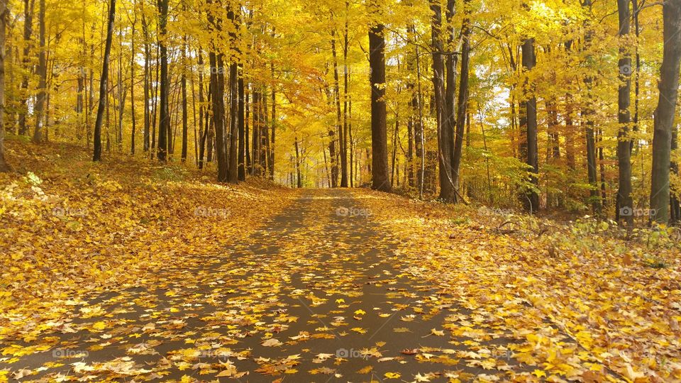 Michigan autumn