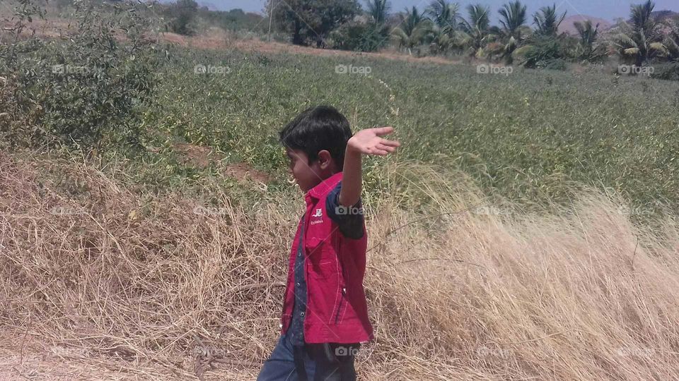 journey through the nature