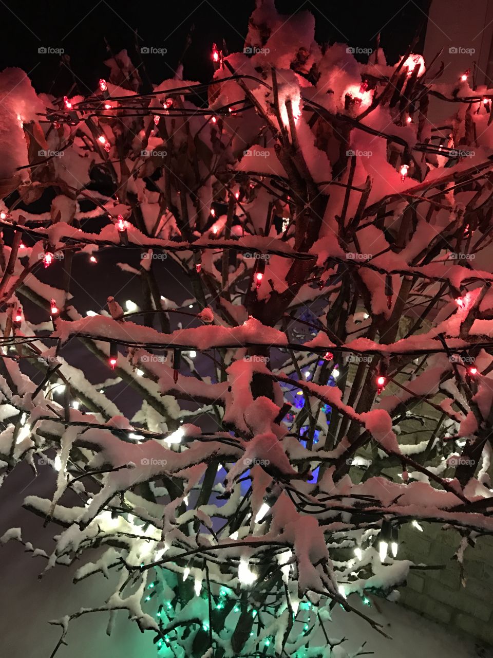 Closeup of  Snowy Christmas lights