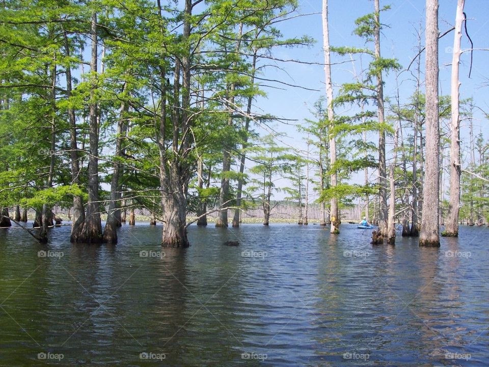 Kayaking at Cane Creek State Park