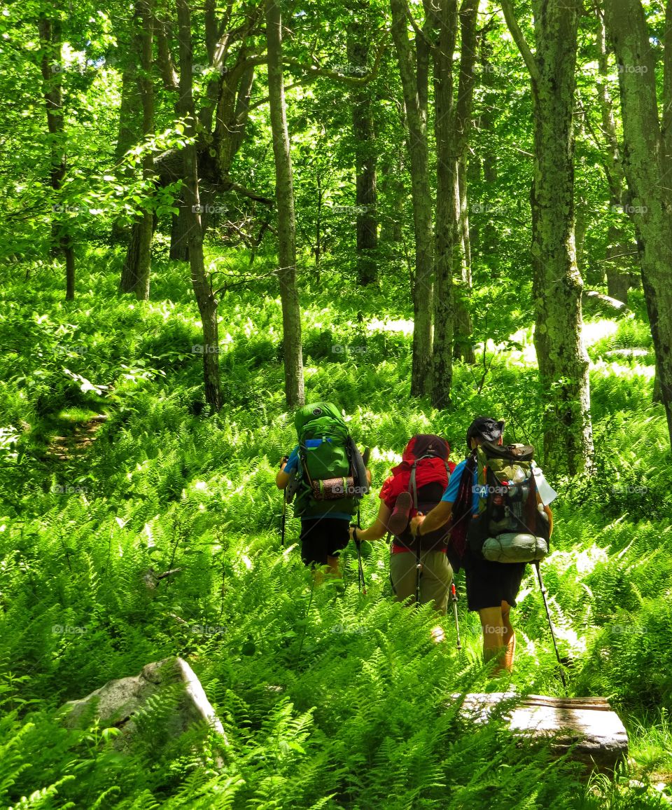 Backpackers hiking on the Appalachian Trail.