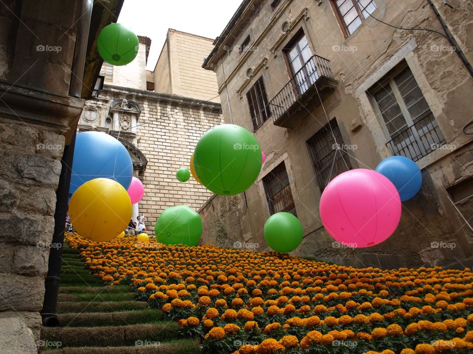 colorful Balloon