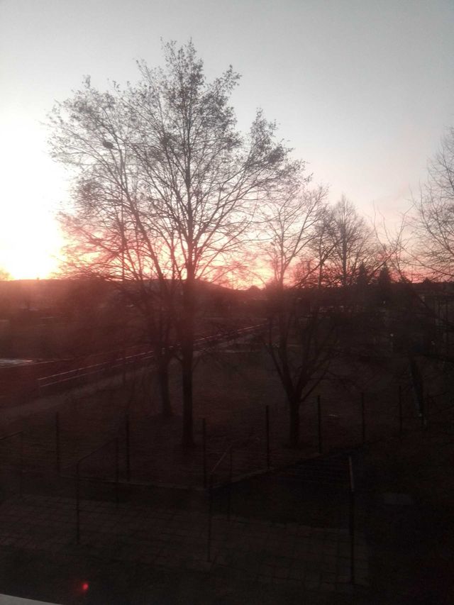 sun