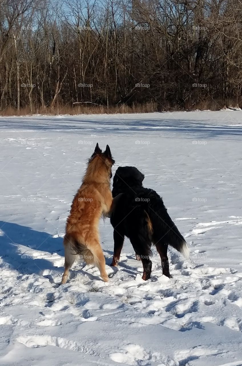 Let me tell you something!