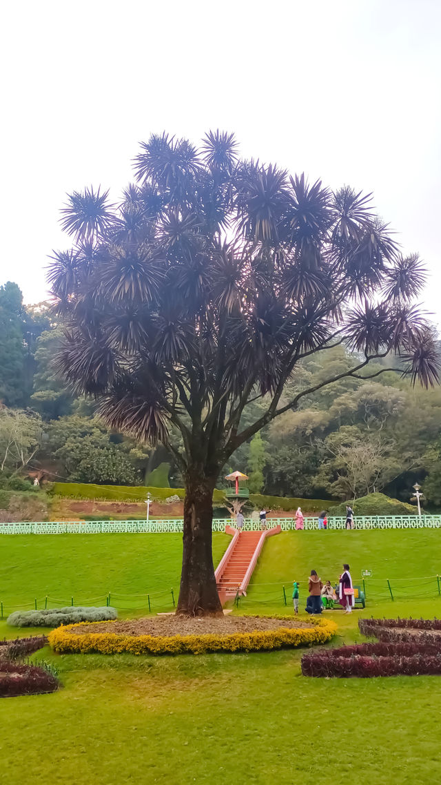 Botanical Garden In Ooty, India