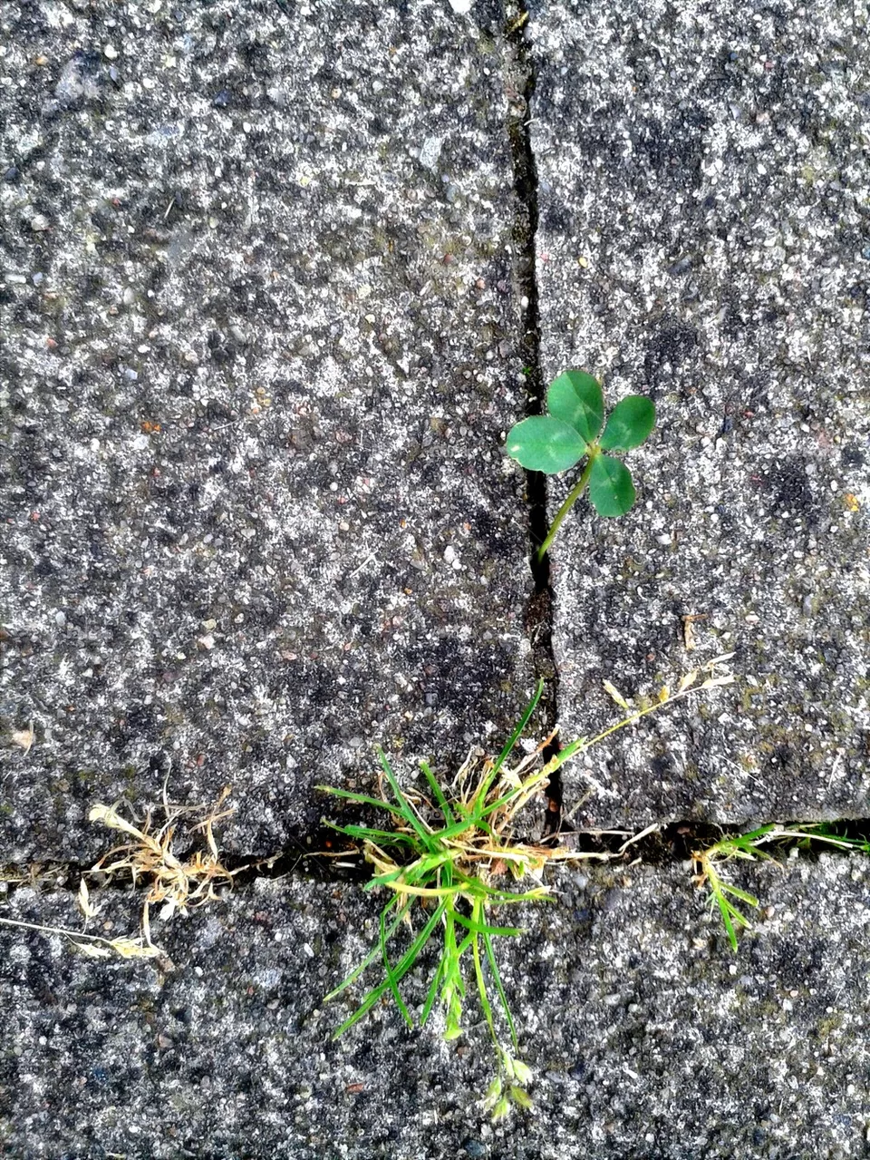lucky
