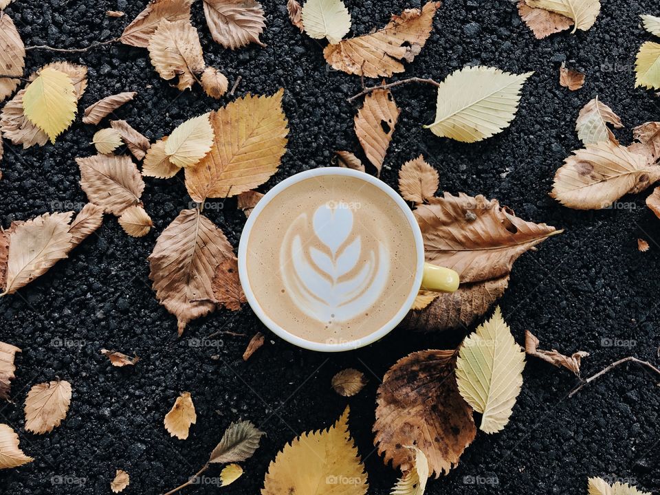 Coffee and leaves