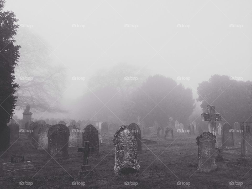 Foggy graveyard