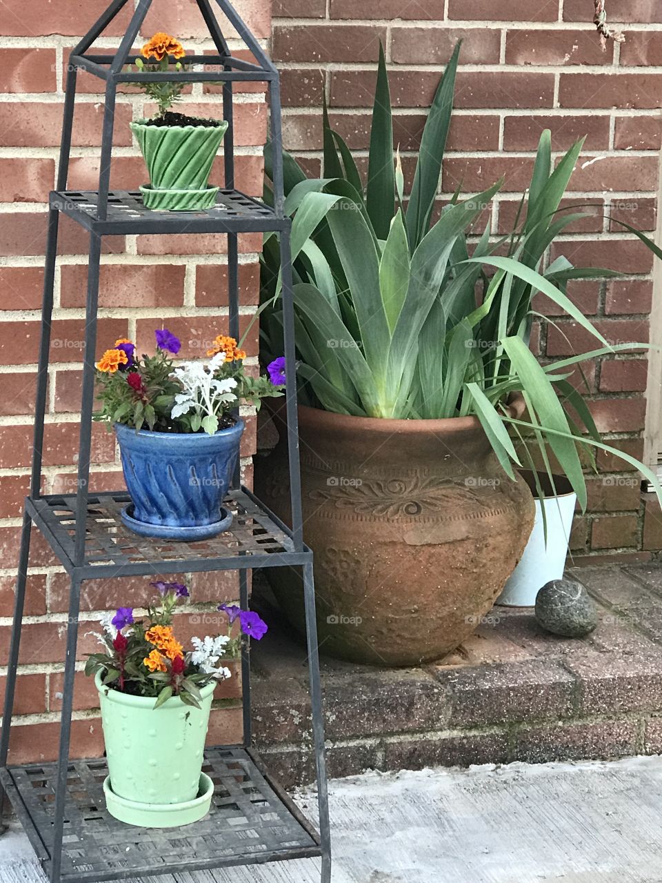 A variety of colorful potted plants.