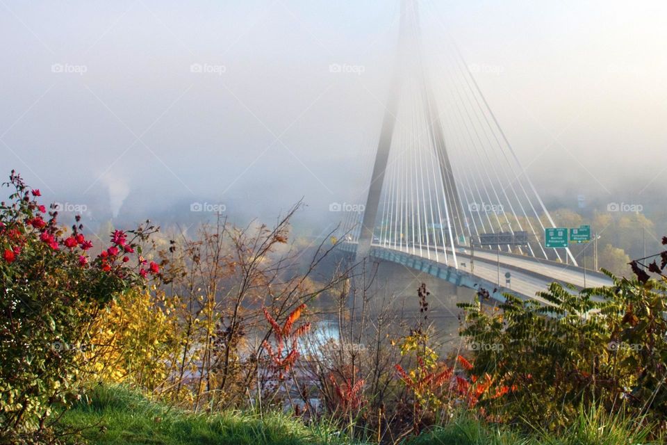 Foggy autumn morning with bridge in the background 