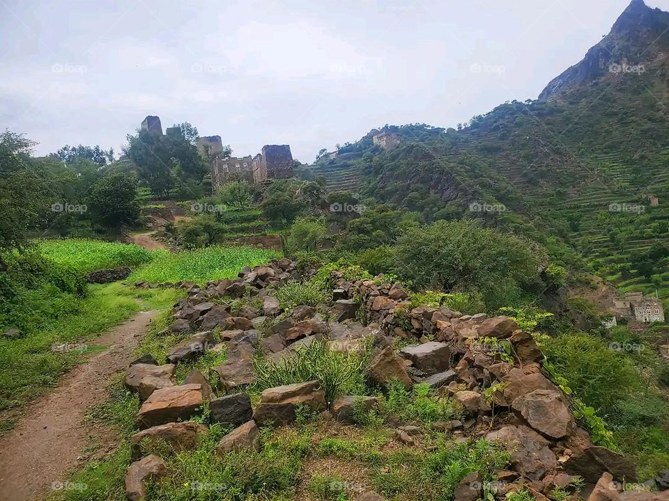 Glory be to God, the magnificent and picturesque view and the natural green trees are a view that is nothing more wonderful than it