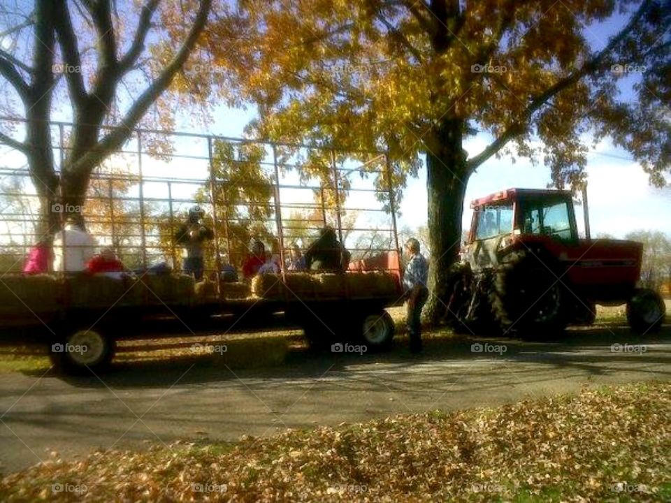 Hay ride. This was for our son's birthday. He loves tractors so we had a family hay ride on a gorgeous fall day in Ohio