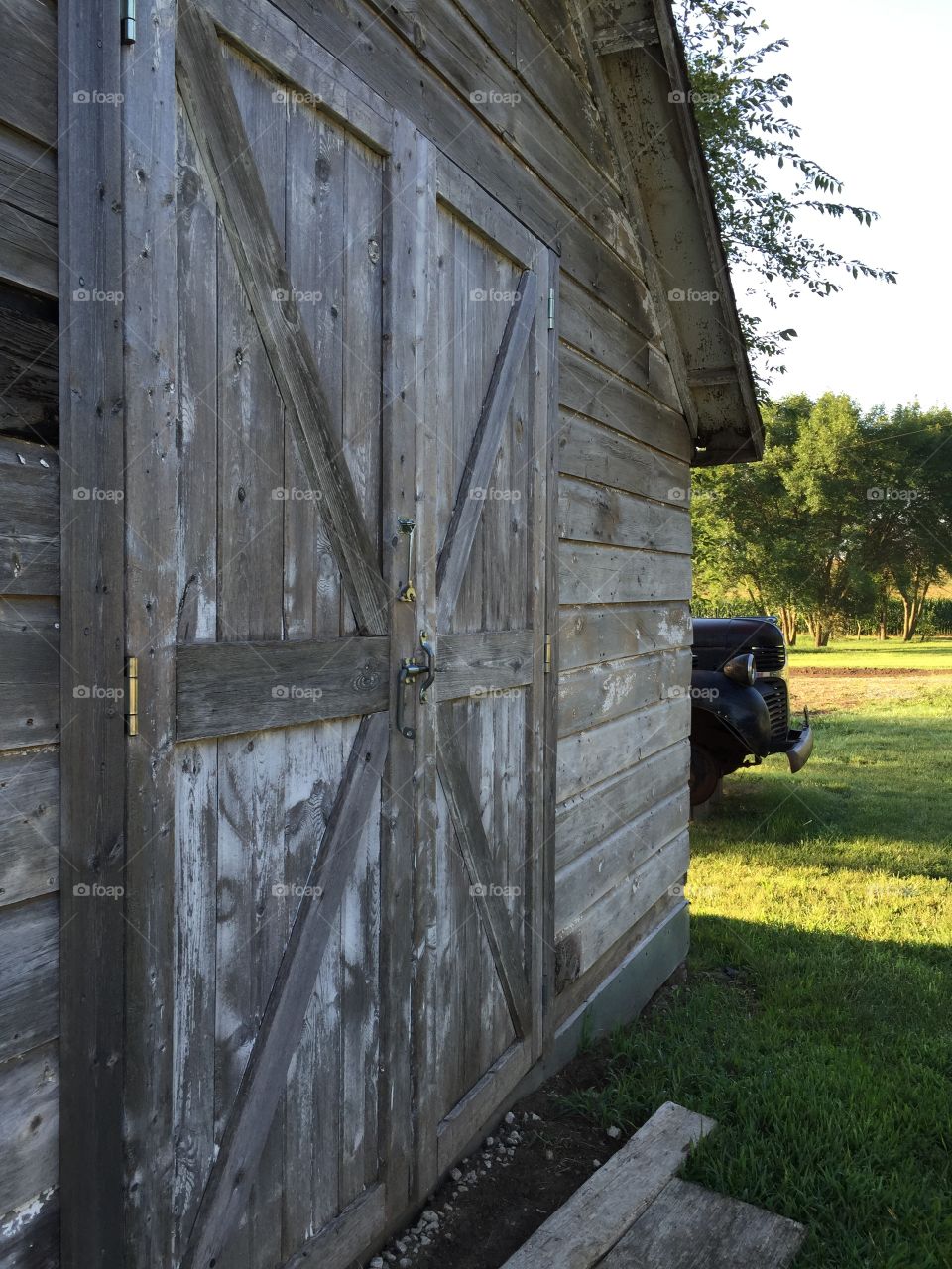 Shed Door