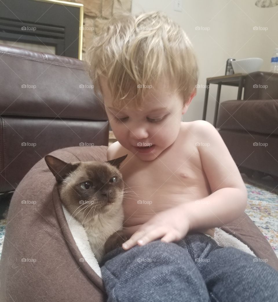 boy and his cat