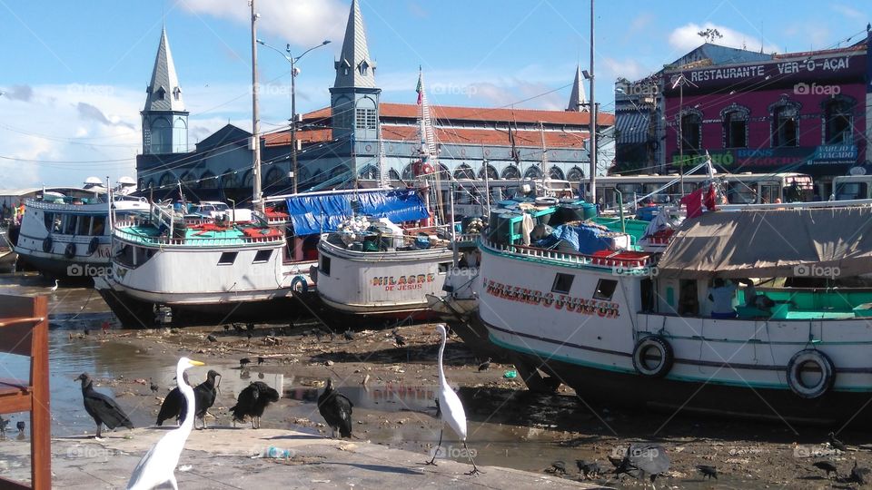 ver-o-peso market boats