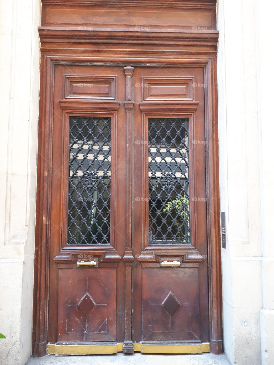 Wooden brown vintage entrance door with metal grate