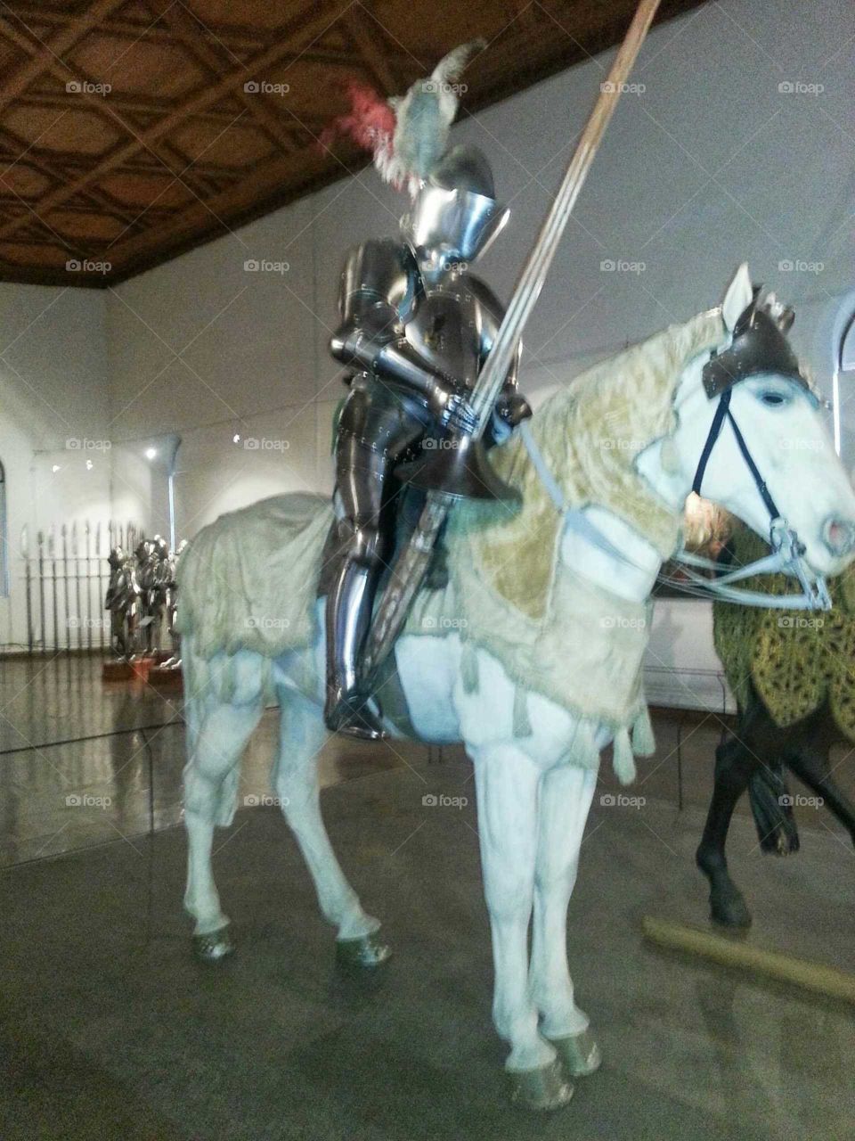 Austria Innsbruck Knights