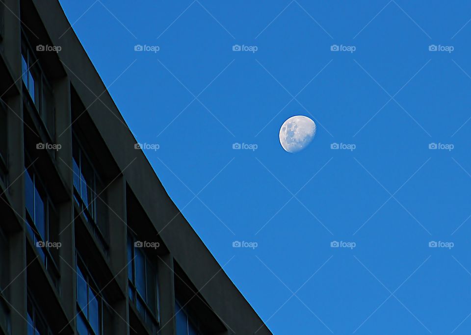 the moon above the windows