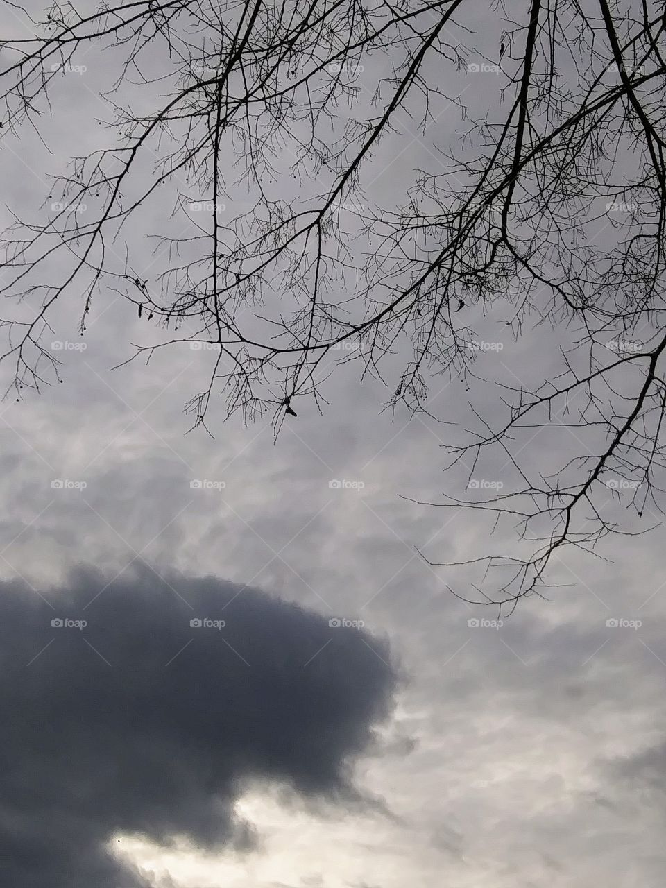 winter afternoon with clouds