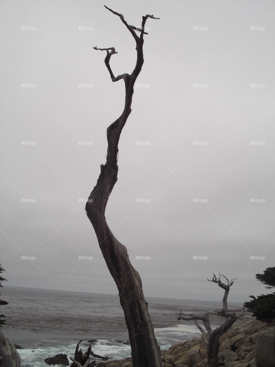 No Person, Water, Landscape, Tree, Sunset