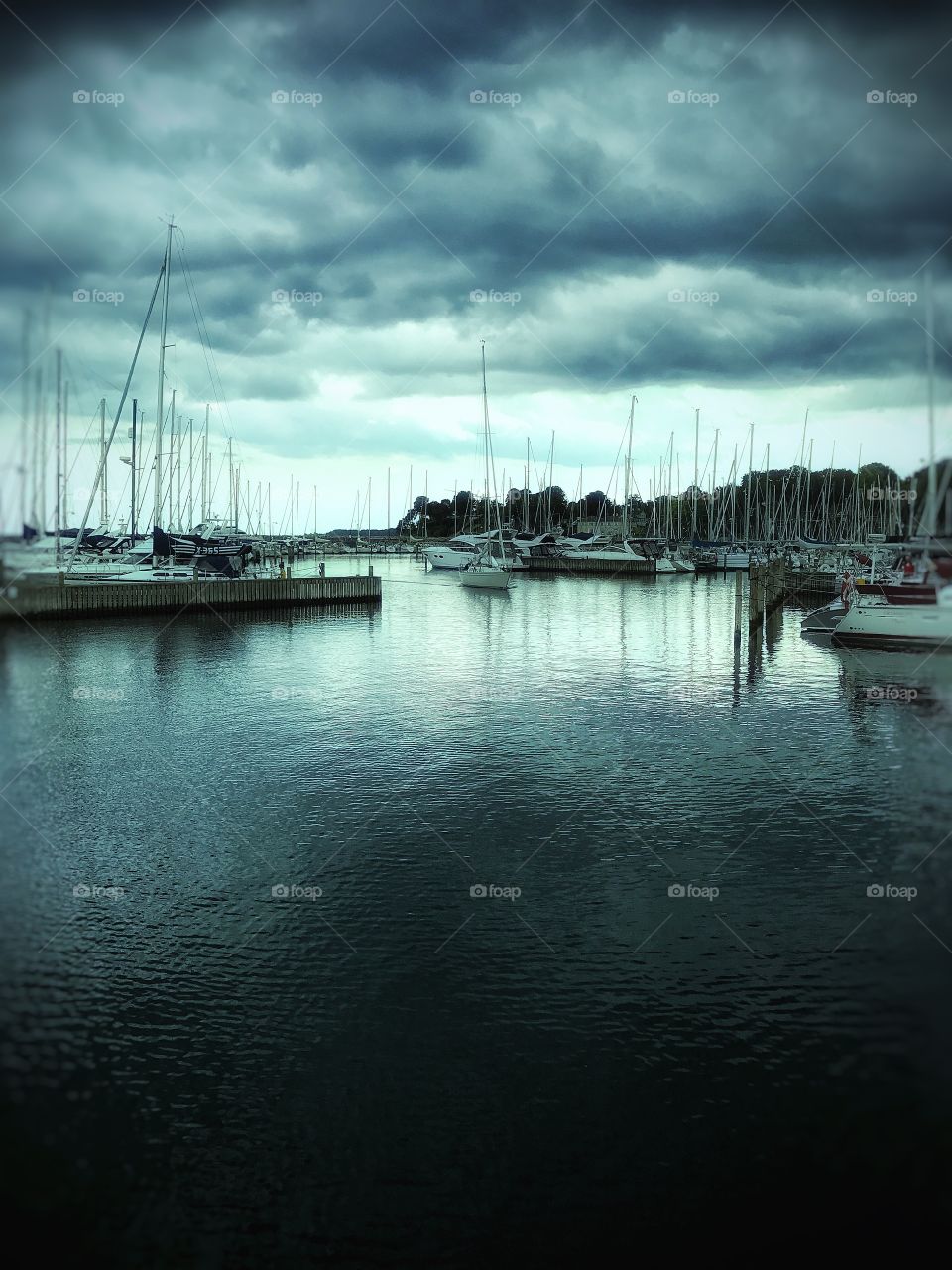 Vedbæk Harbour at summertime ☀️☀️☀️