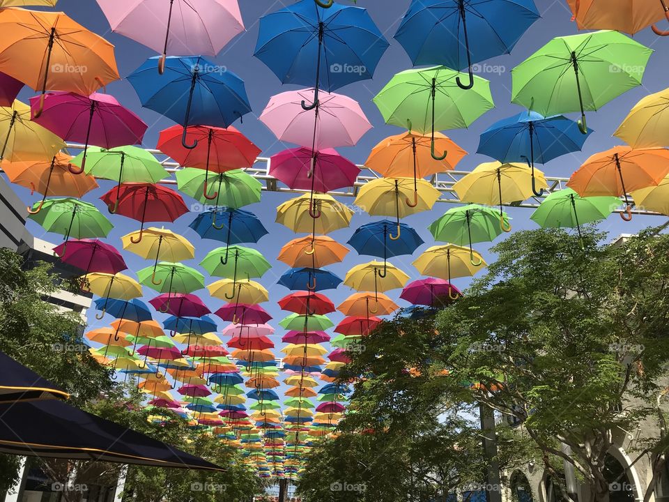 Coral Gables Umbrella Project 2018