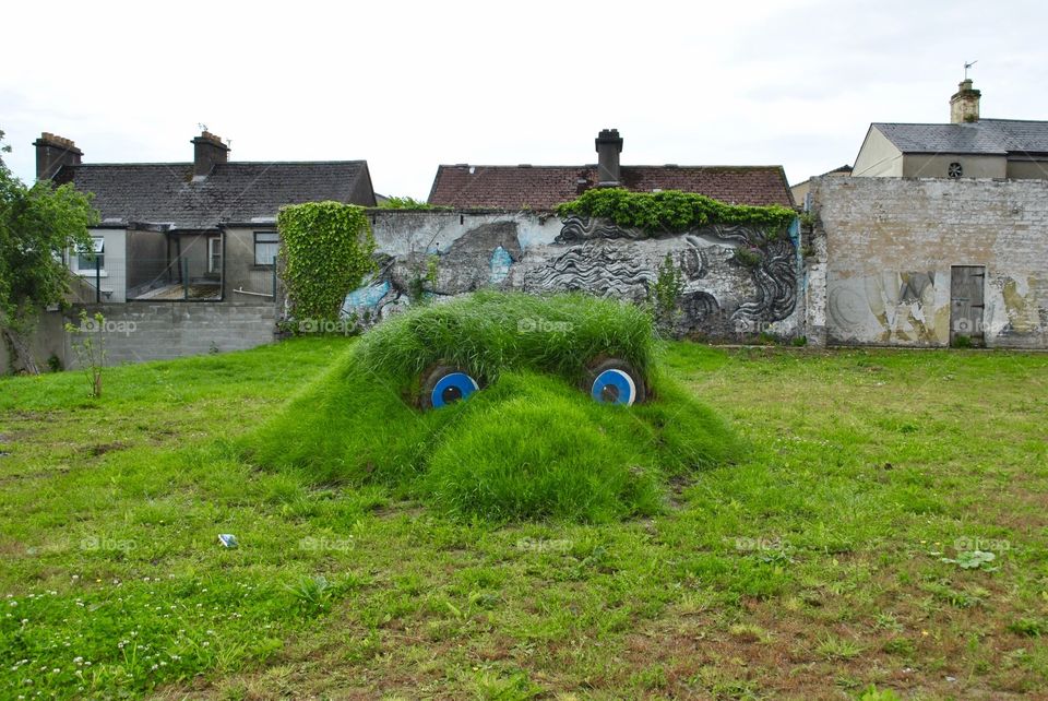 Limerick grass monster