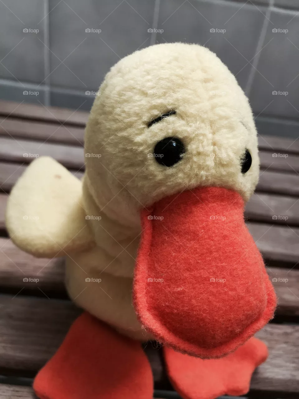 My duck