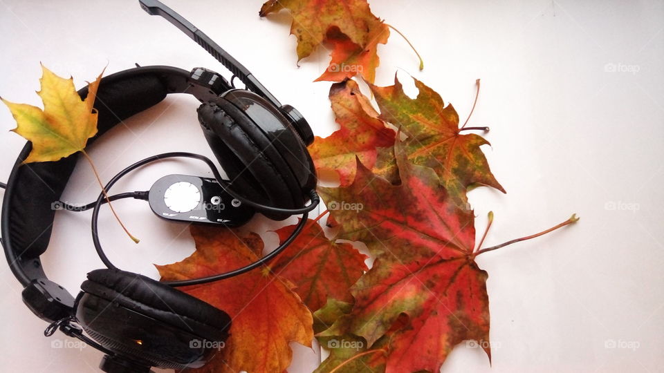 музыка.наушники.осенний.листья.