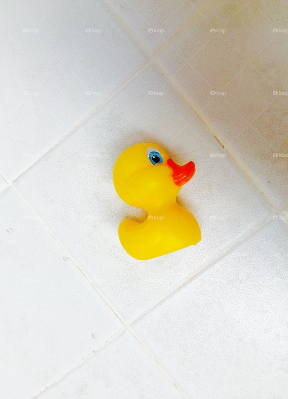 My duck