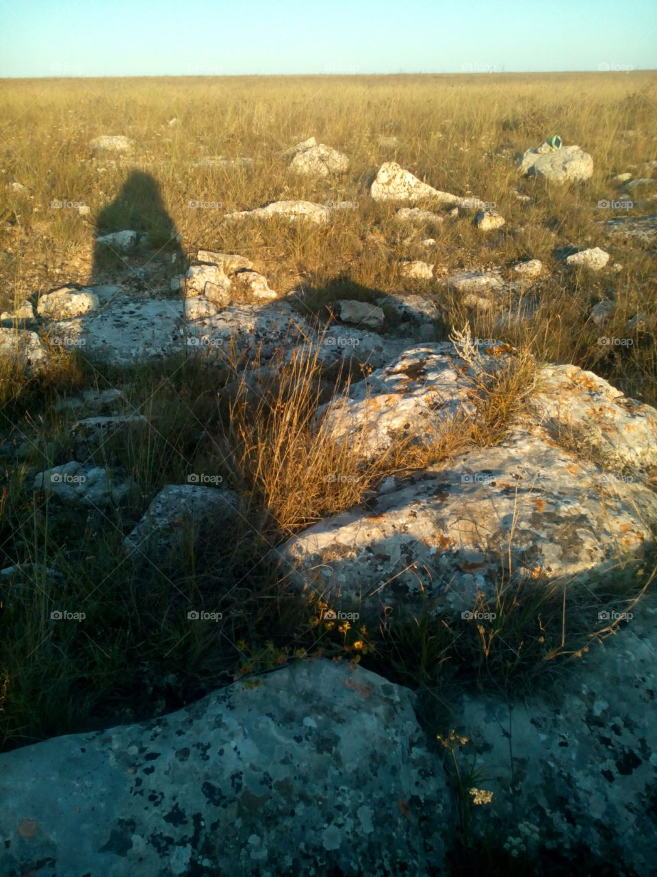 shadows people on the steppe