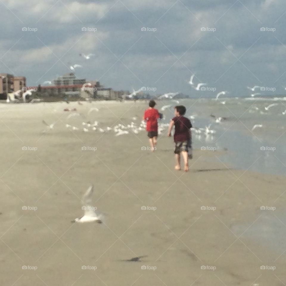 Little boys chasing birds on beach