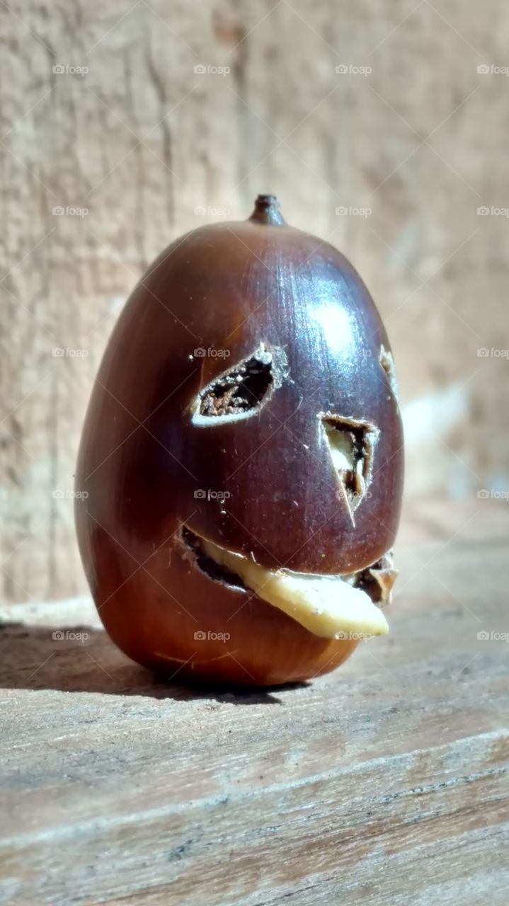 No Person, Food, Grow, Still Life, Wood