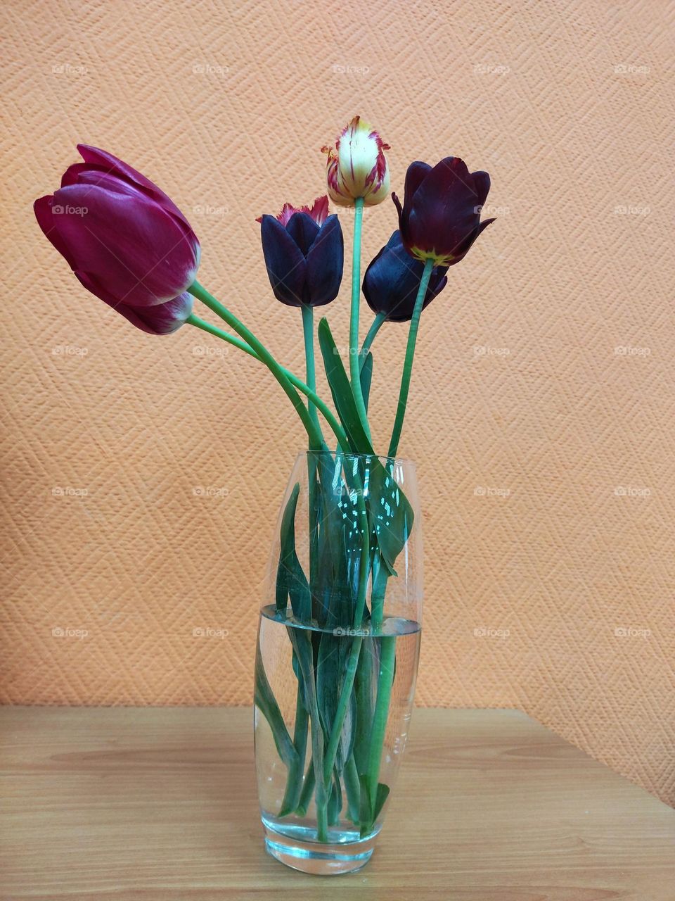 тюльпаны