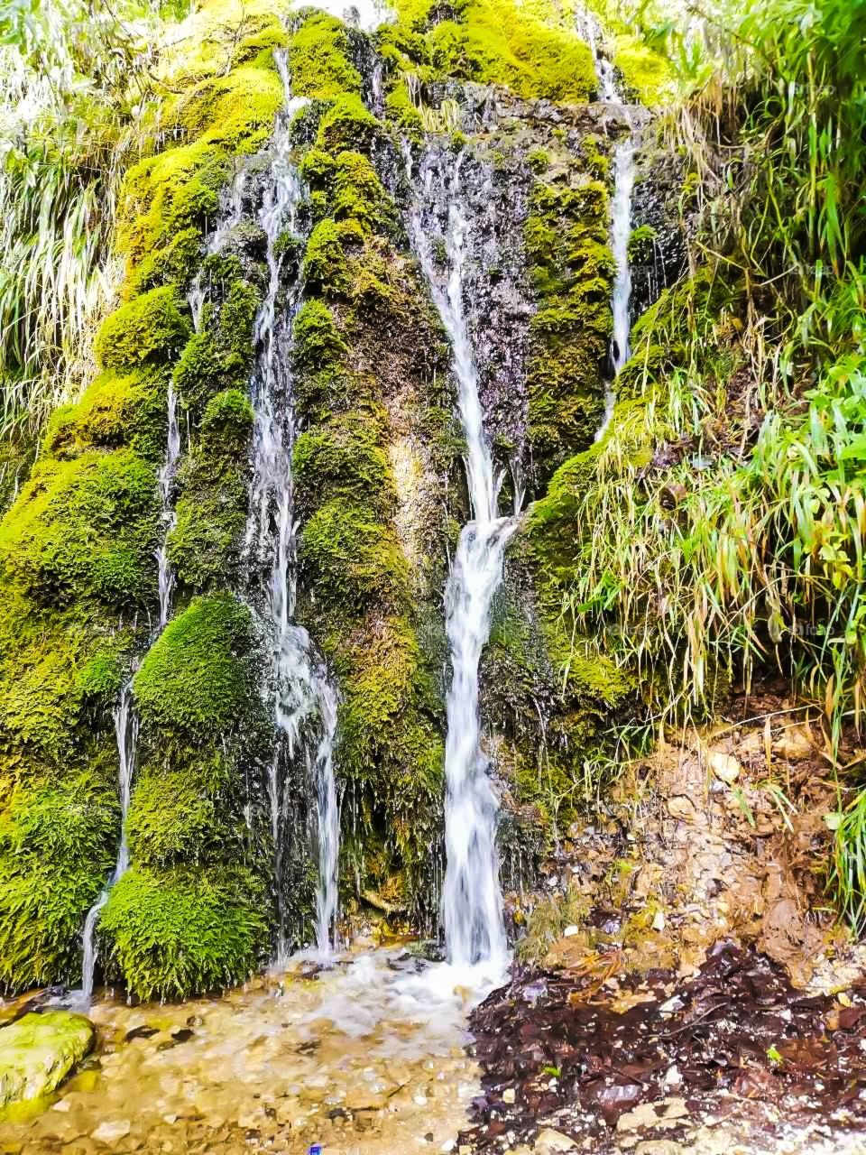 Creek waterfall