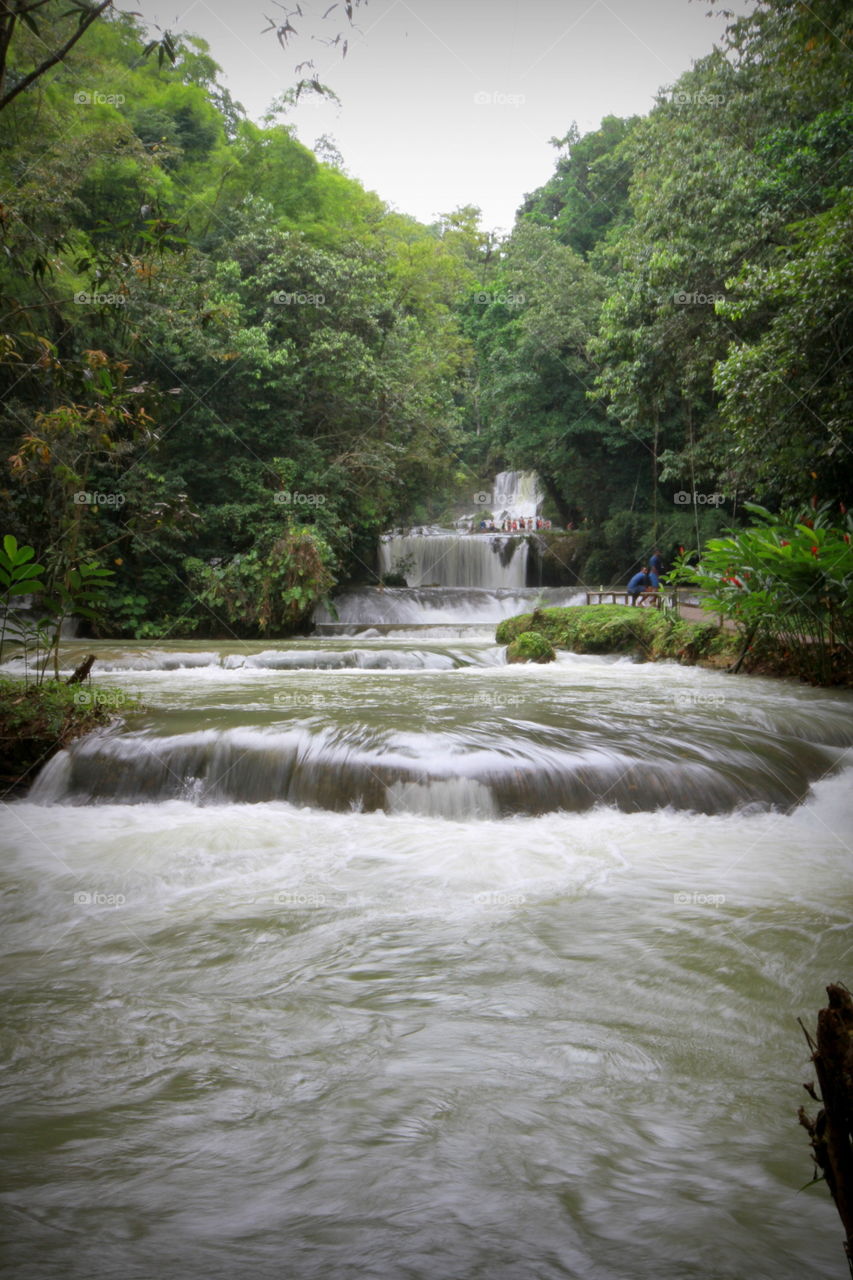 Water, Waterfall, River, Stream, Nature