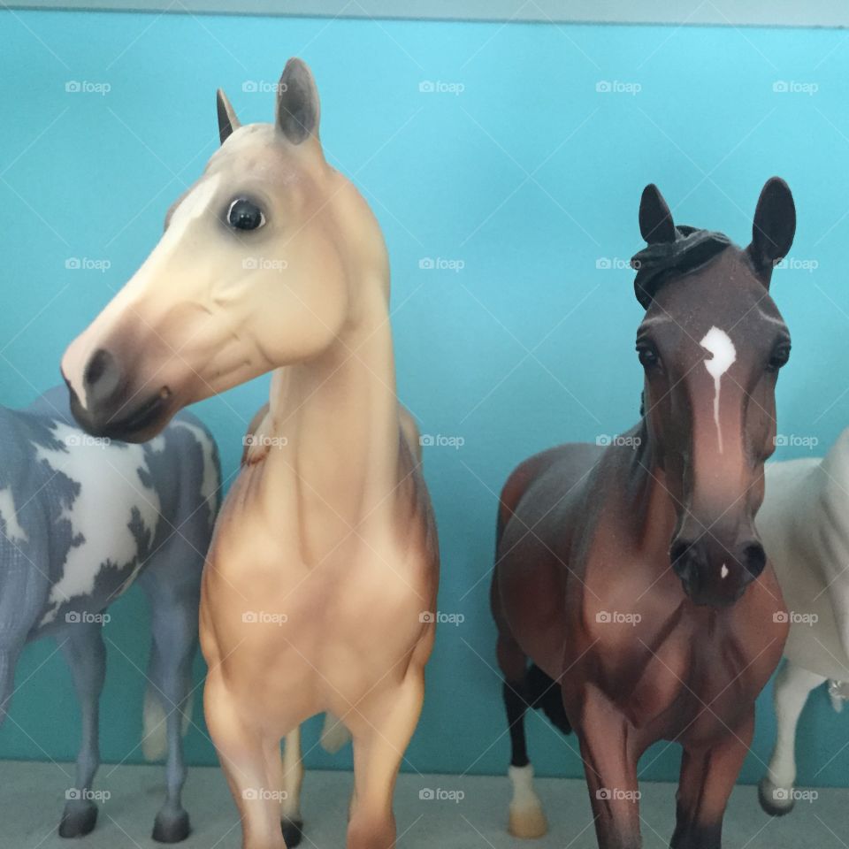 Horse collection