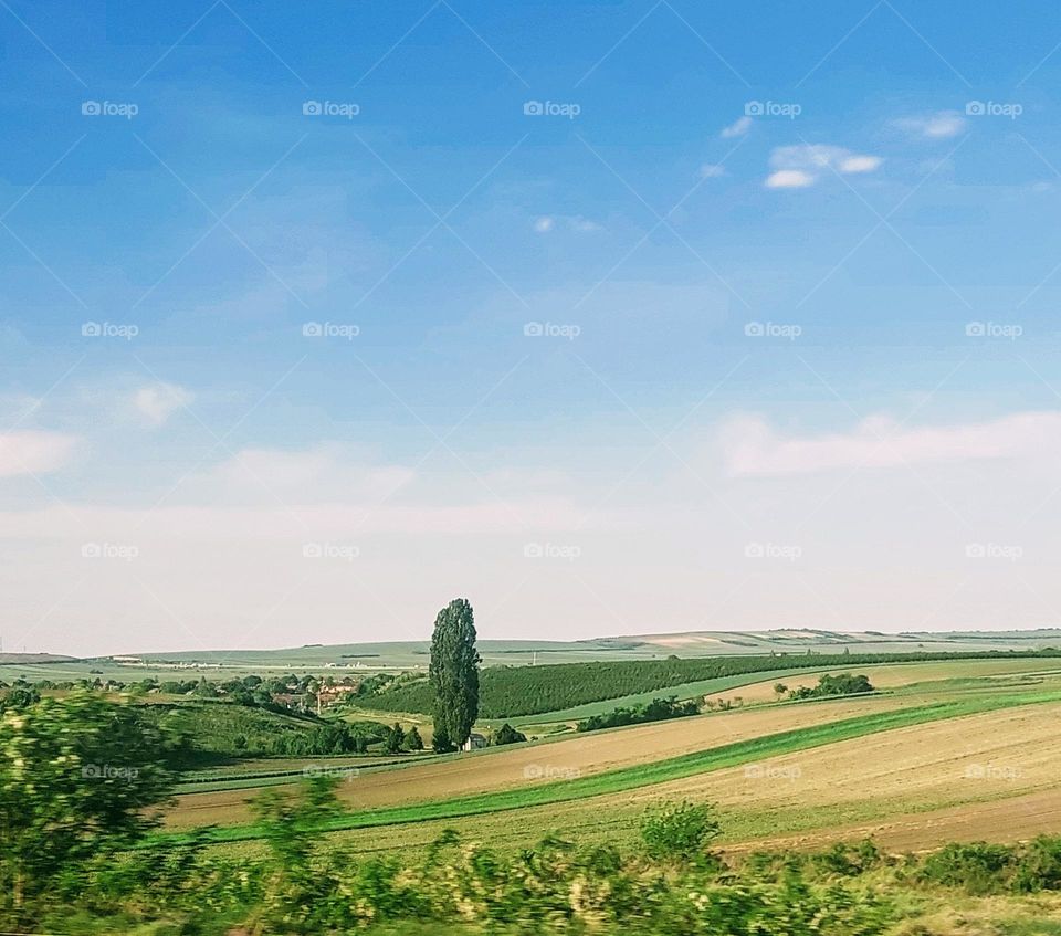 View of the spring landscape of the plain with planted fields.  Agricultural fields