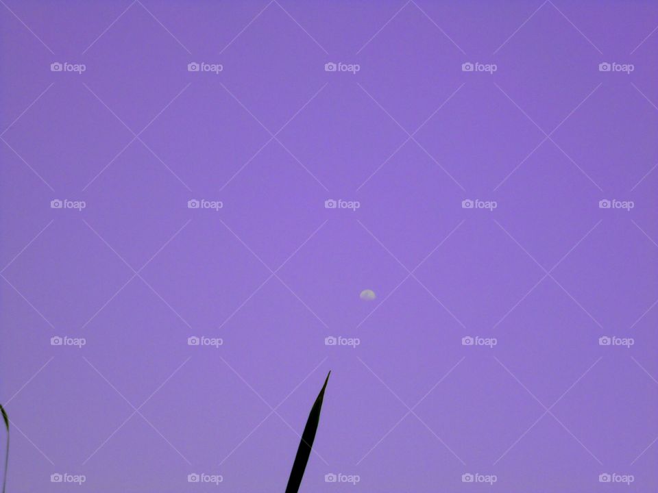 Moonlight day in Bangkok