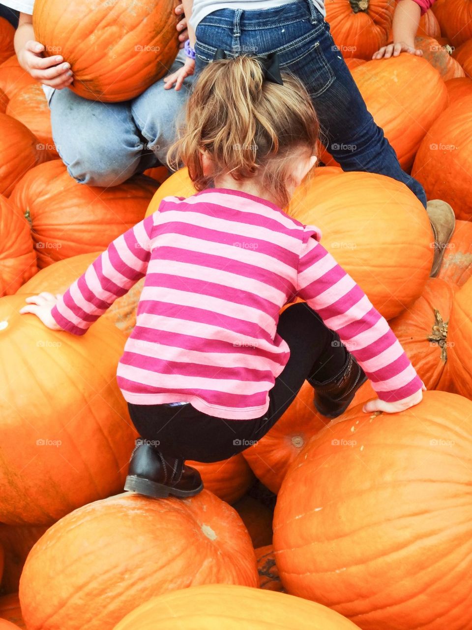 Pumpkin climbing